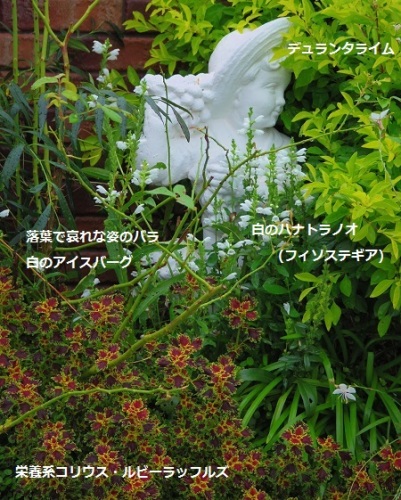2014_0913_073558-IMGP2554.JPG