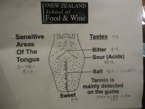 ワイン王国08.JPG