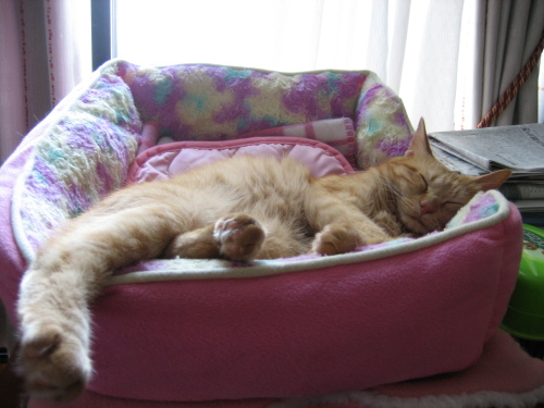 Sept. 19, 2015(16).JPG