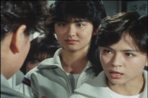 PDVD_018.jpg