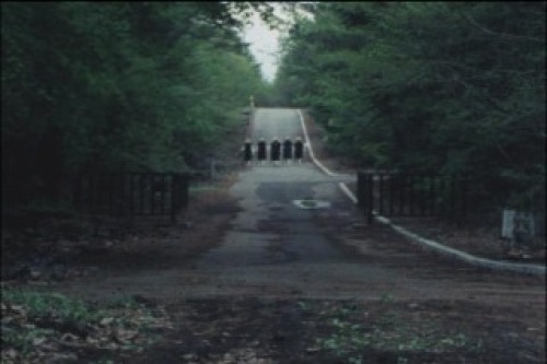 PDVD_023.jpg