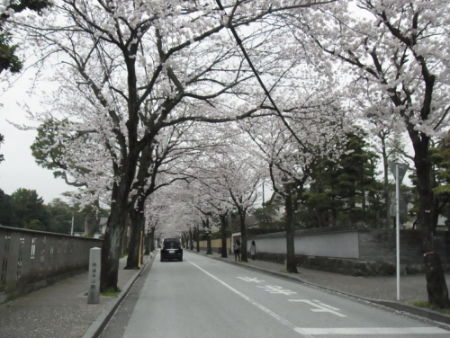 20130330小田原　16西海子小路.jpg