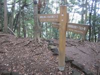 IMG_0107_R.JPG