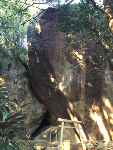 IMG_4722 (480x640).jpg