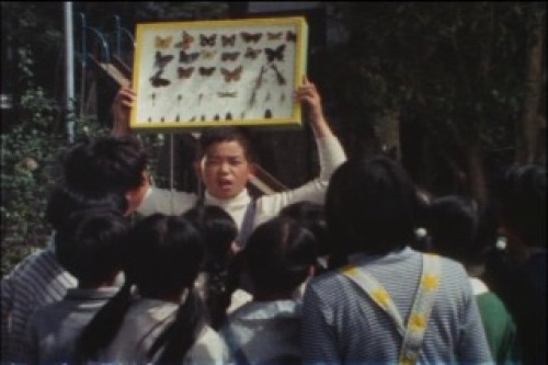 PDVD_010.jpg
