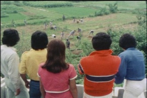 PDVD_043.jpg