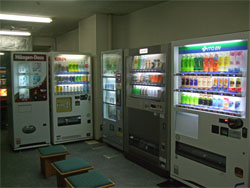 大川荘27.jpg
