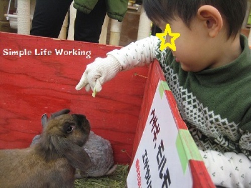 次男とうさぎ.JPG
