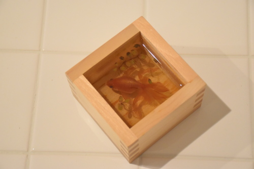 春待ち金魚1.JPG