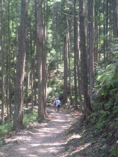 熊野古道.JPG