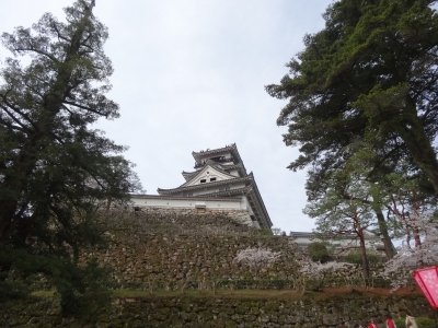 DSC00412.jpg