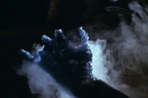 PDVD_018.jpg