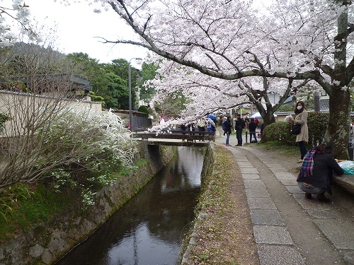 P1030948.jpg