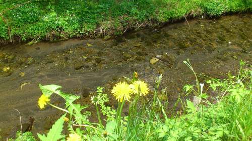DSC_0504[1].JPG