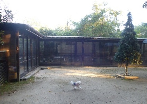 P1030220.JPG
