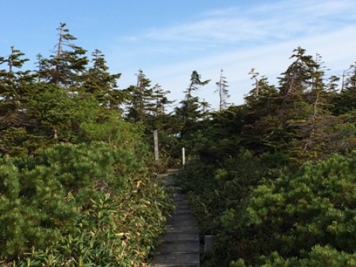 2016-06-19 06.26.50.jpg