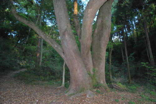 神於山10