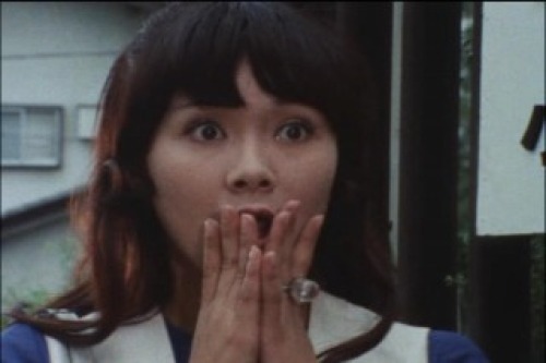 PDVD_029.jpg