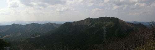 P4271052PL1t.jpg