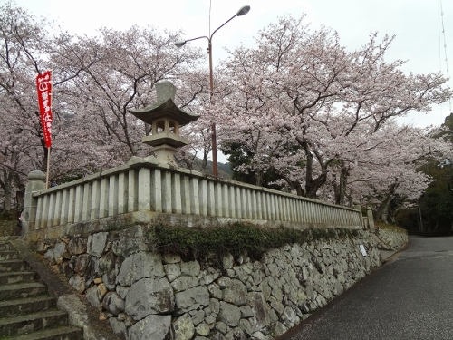 龍野　さくら祭 (9).jpg