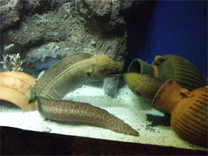 guam water3.jpg