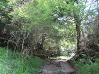 IMG_7688_R.JPG