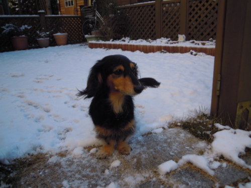 DSCN9729.JPG