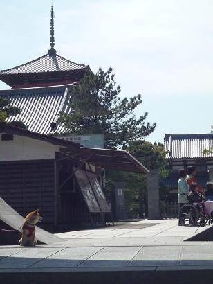 お寺７(V.2012_04_05__07_28_17).jpg