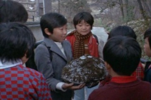 PDVD_015.jpg