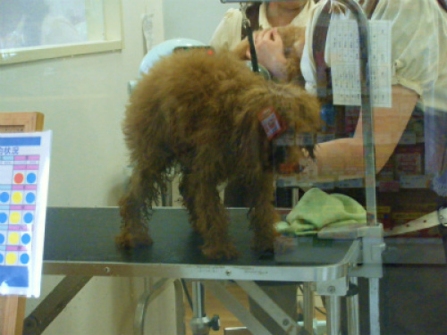 DSCF8755.jpg