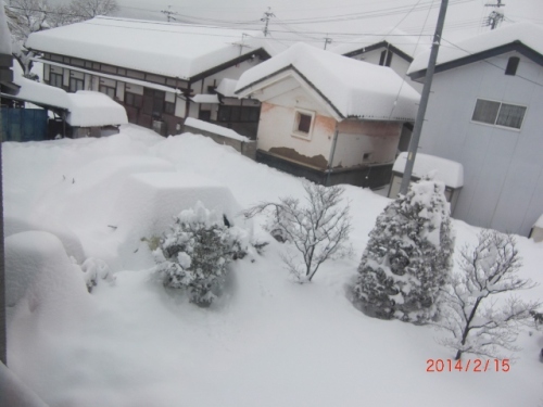 CIMG7112 (640x480).jpg