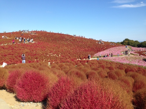 201511021249_1915_iphone.jpg