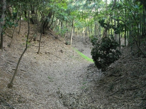 小机城本丸空堀 (3) (500x375).jpg