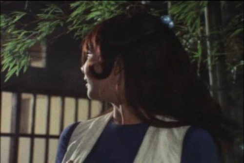 PDVD_079.jpg