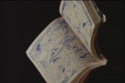 PDVD_066.jpg