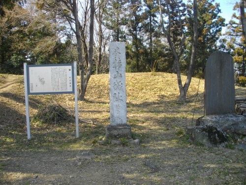 杉山城本丸城跡碑 (500x375).jpg