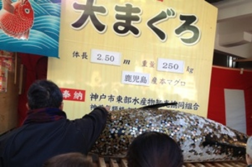 2013-01-09 11.56.14.jpg