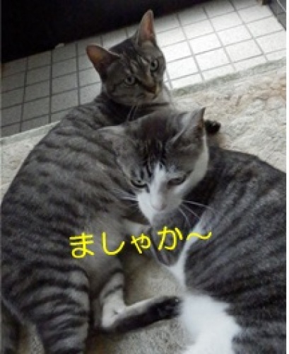 20140715_4.jpg