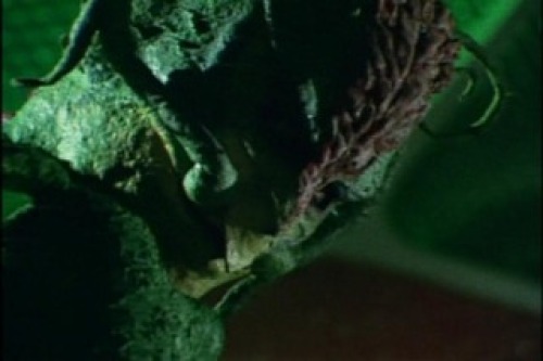 PDVD_013.jpg