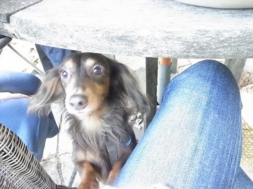 2012_10_ 8_11_36.jpg