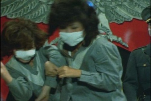 PDVD_024.jpg