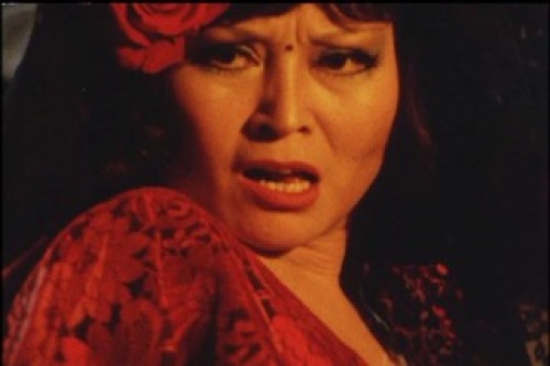 PDVD_040.jpg