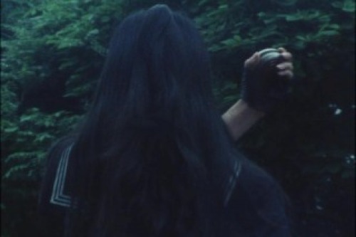 PDVD_038.jpg
