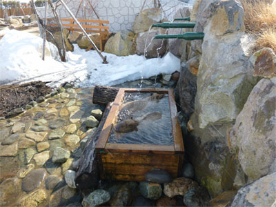 那須10.jpg