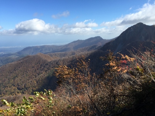 IMG_6798 (640x480).jpg