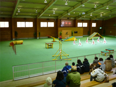 那須38.jpg