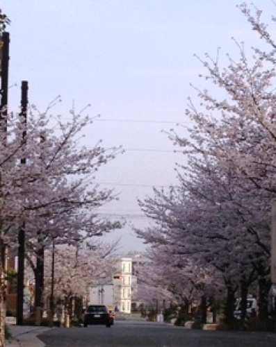 2013-03-30 16.43.38.jpg