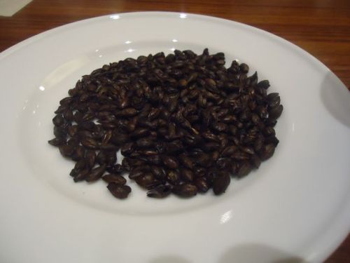 エビスビール19.JPG