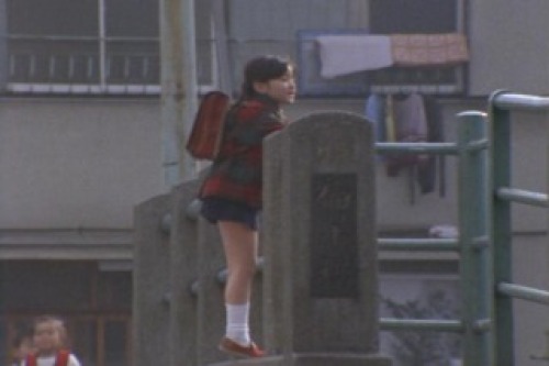 PDVD_002.jpg