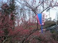 IMG_2138_R.JPG
